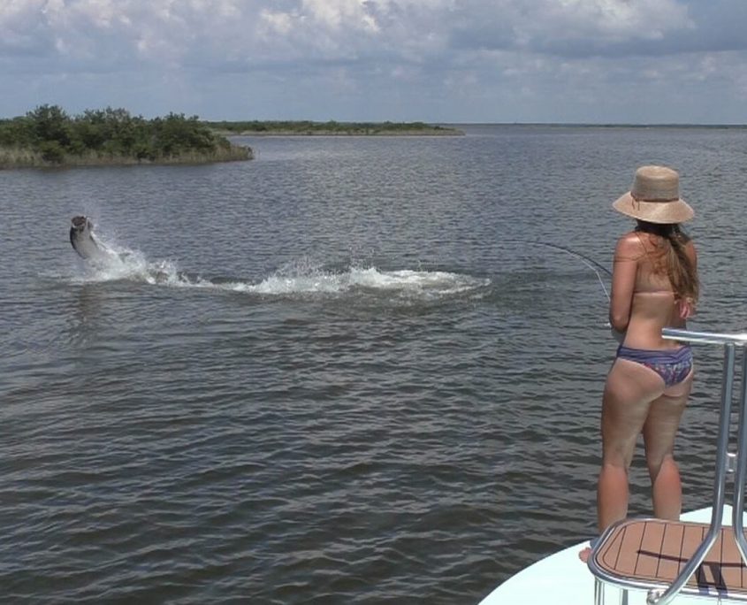 Tarpon Fishing Charter Homosassa Florida