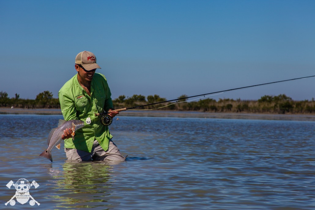 Inshore homosassa fishing charters 