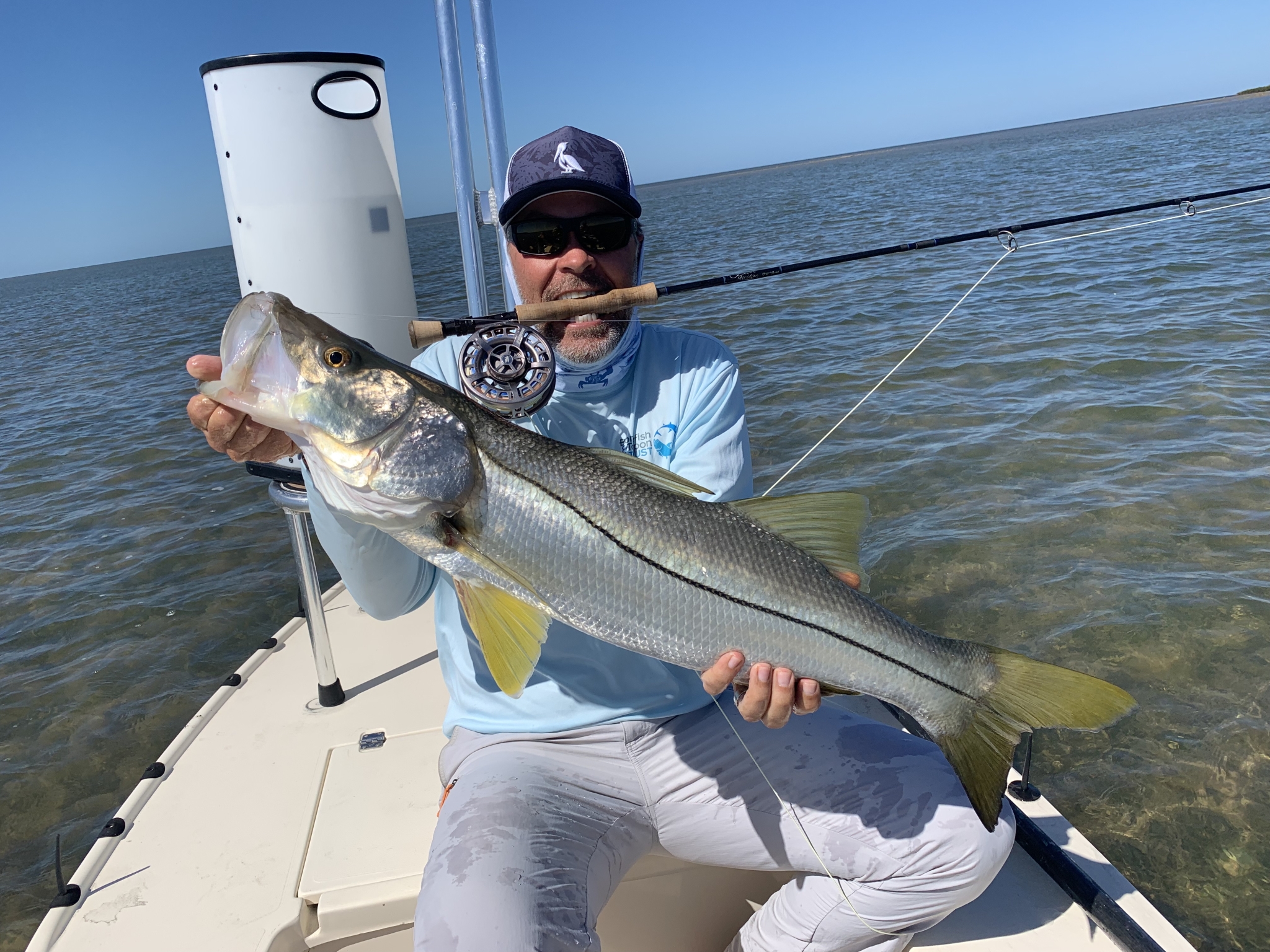 Snook - Shallow Sightings
